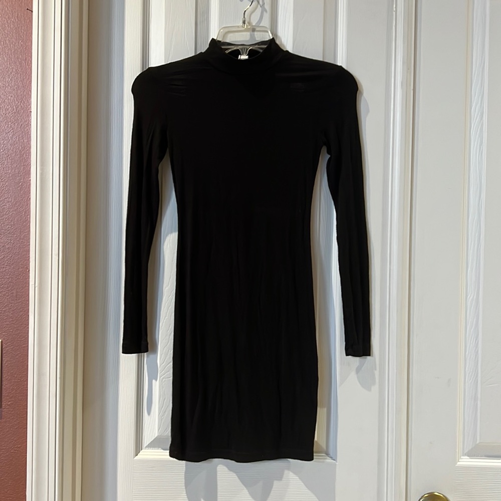 American Apparel turtle neck dress
